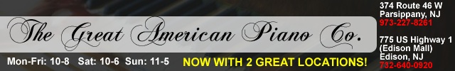 The Great American Piano, 新澤西美國鋼琴公司